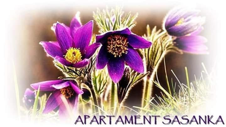 Apartament Sasanka Kowary Dış mekan fotoğraf